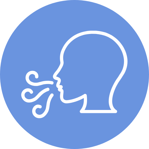 Alt image